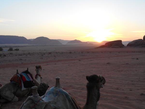 Camels carried students into the desert to watch the sun rise early one morning.