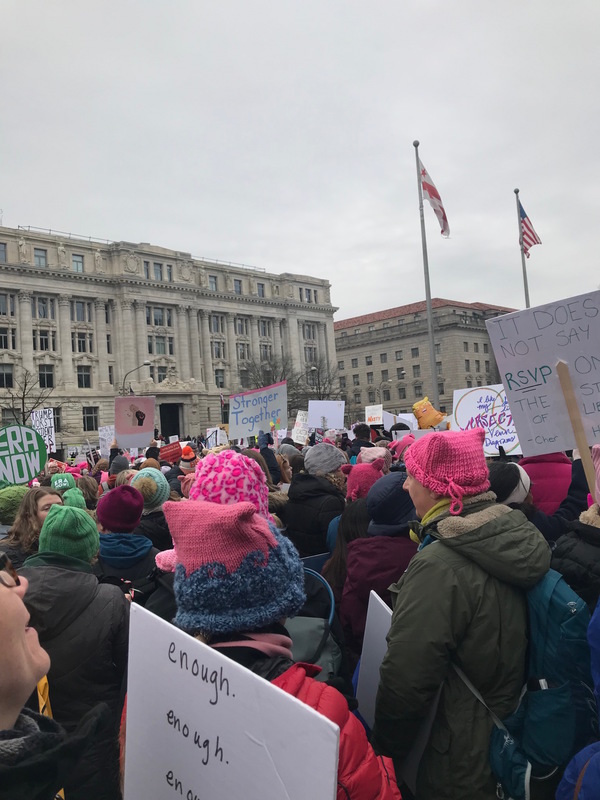 Crowd at the Women's March, with hundreds of people in the photo.